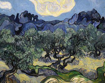 Drzewa oliwne, Vincent van Gogh