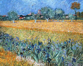 Field with Flowers near Arles, Vincent van Gogh