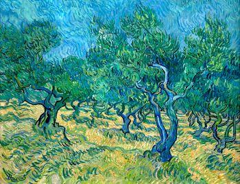 Gaj oliwny, Vincent van Gogh
