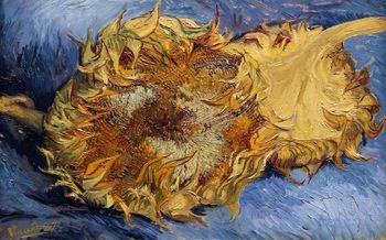 Słoneczniki 1887, Vincent van Gogh
