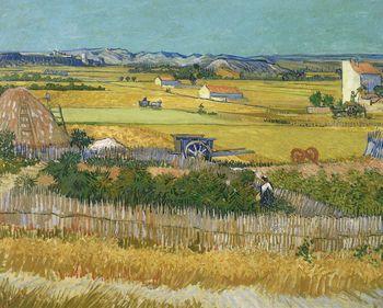 Żniwa, Vincent van Gogh