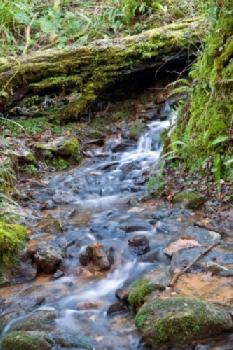 B6DDD0_EDITORIAL_HiRes