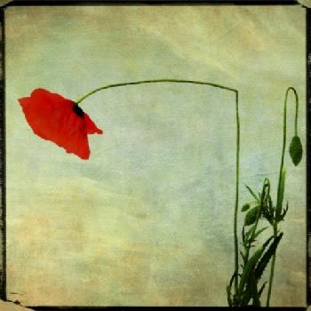 BEW1BF67DE4_EDITORIAL_HiRes