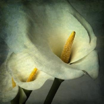 BEW1BF8819C_EDITORIAL_HiRes