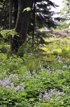 BEW1BF8B8B6_EDITORIAL_HiRes