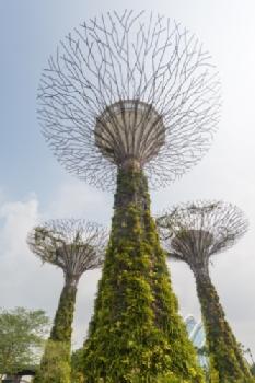 BEW1C870C48_EDITORIAL_HiRes