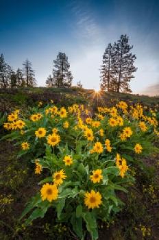 D405N0_EDITORIAL_HiRes