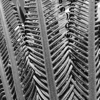 S03PCD_EDITORIAL_HiRes